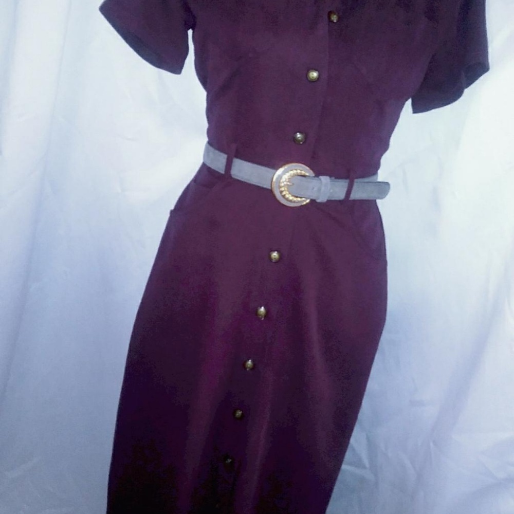 Size 2 Robbie Bee Button-Up Petite Dress